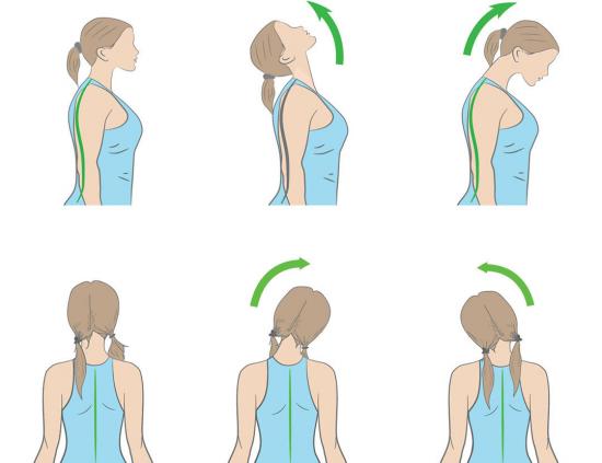 neck stretches