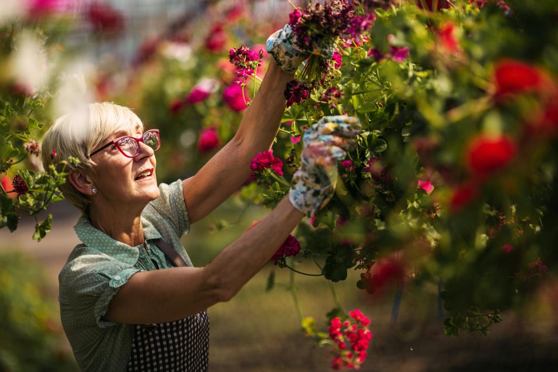 Senior woman gardening