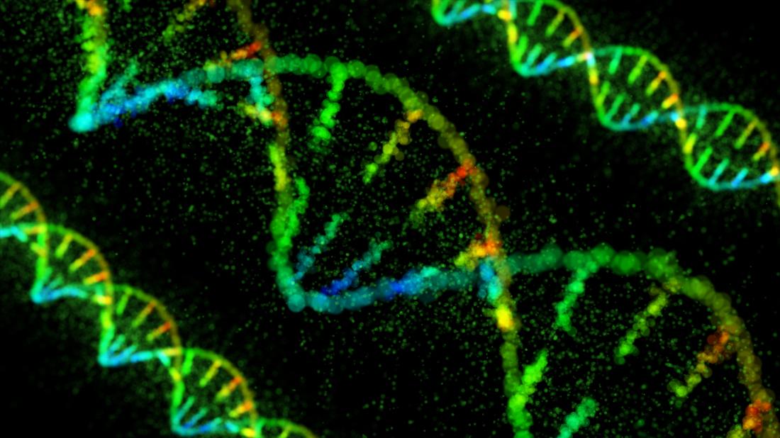 dna strand