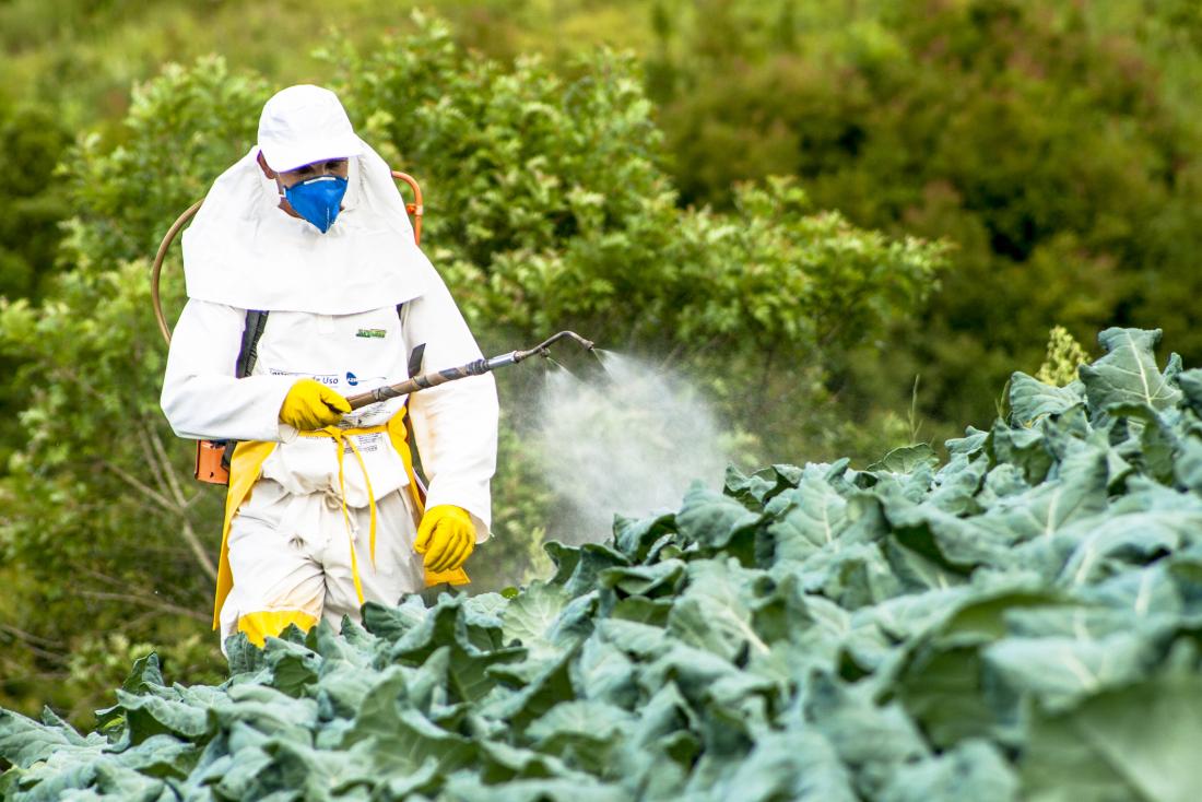 man with pesticide device