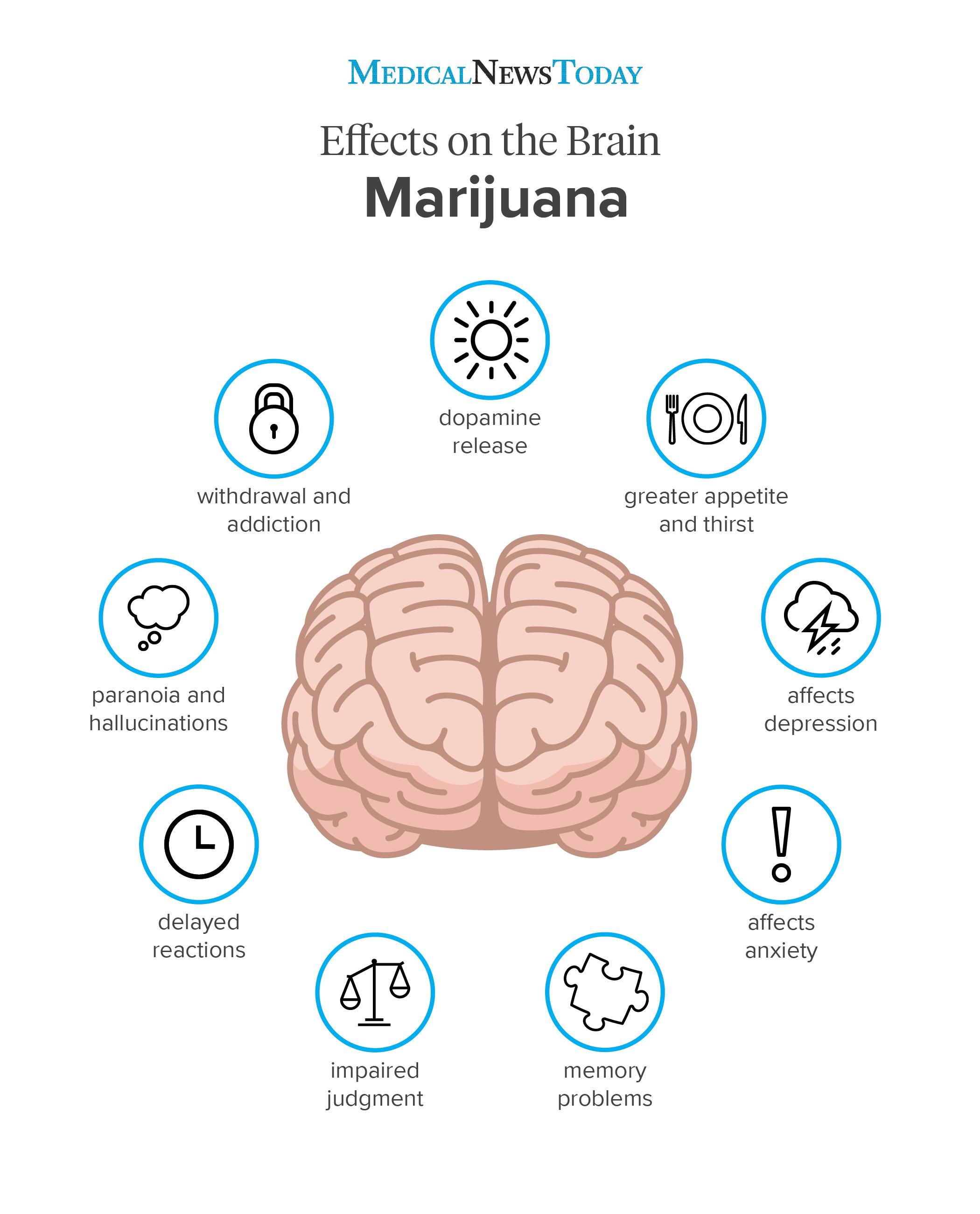 An infographic of a marijuana effects on the brain. 