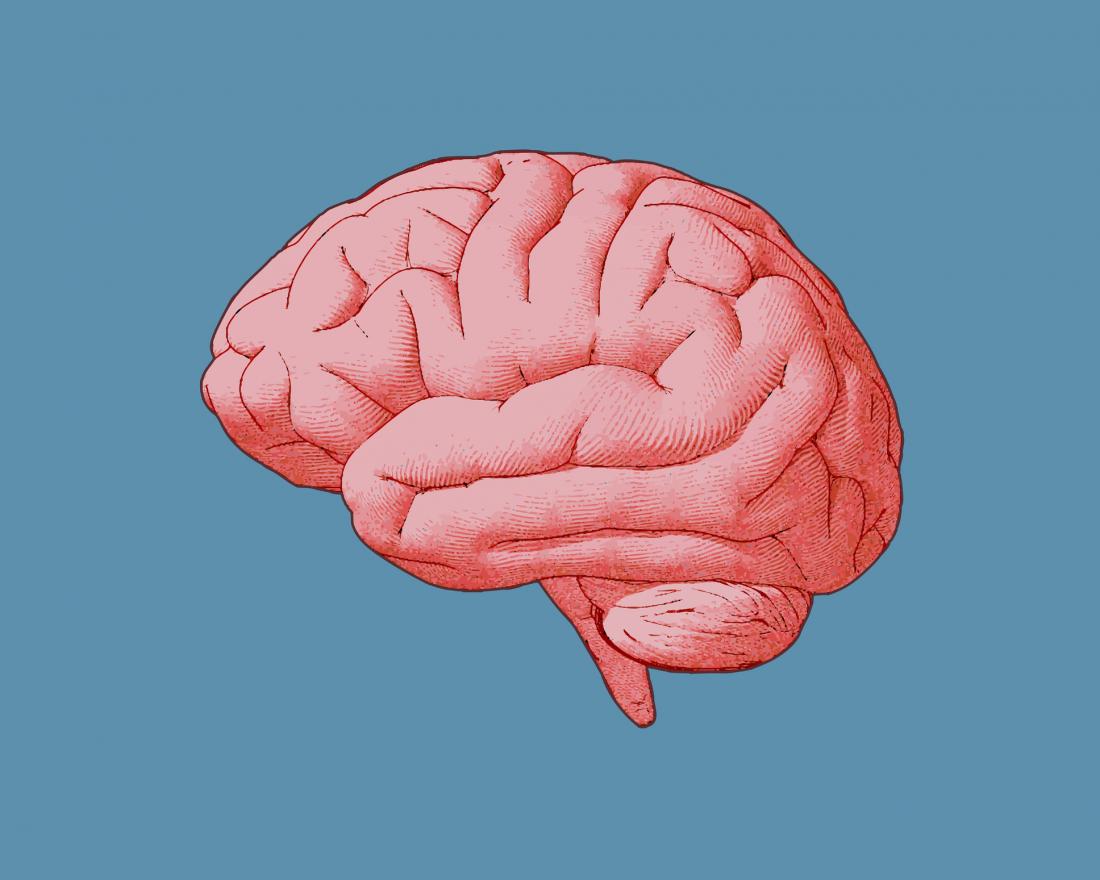 side view of the left side of the brain against a blue backdrop