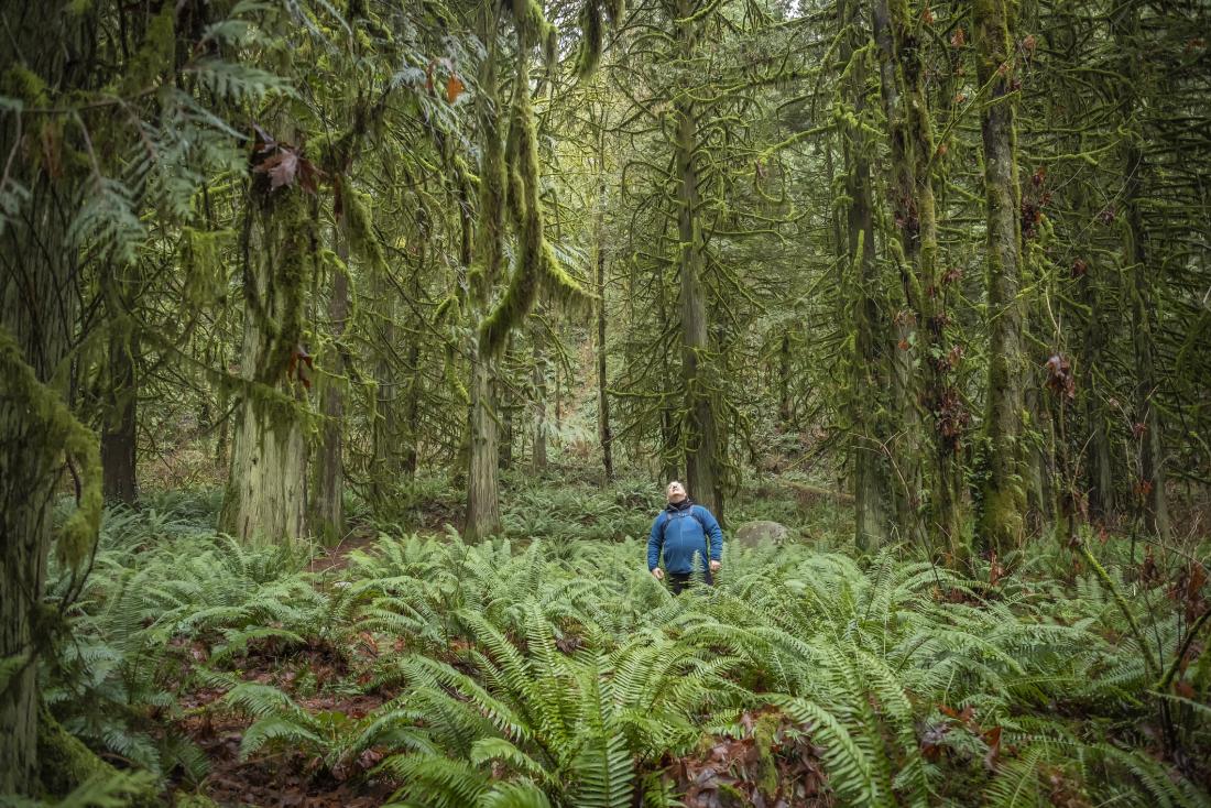 Man in a forest
