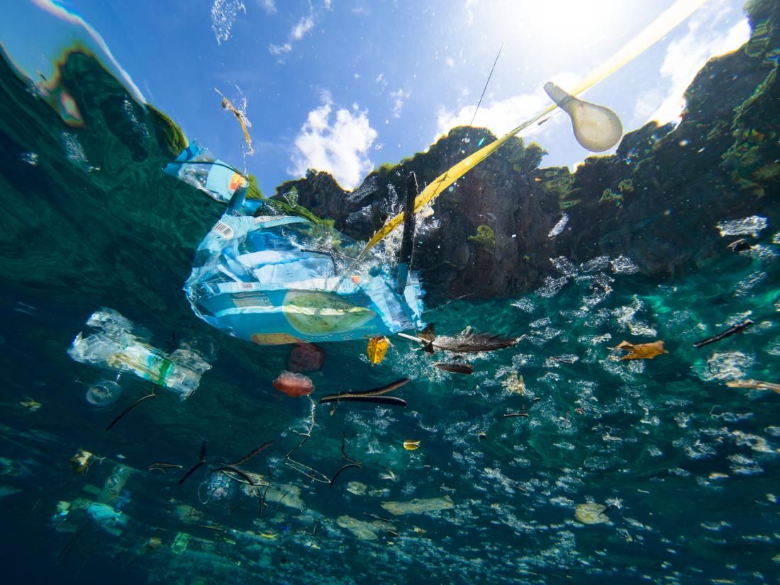 Plastic pollution harms oxygen-producing bacteria