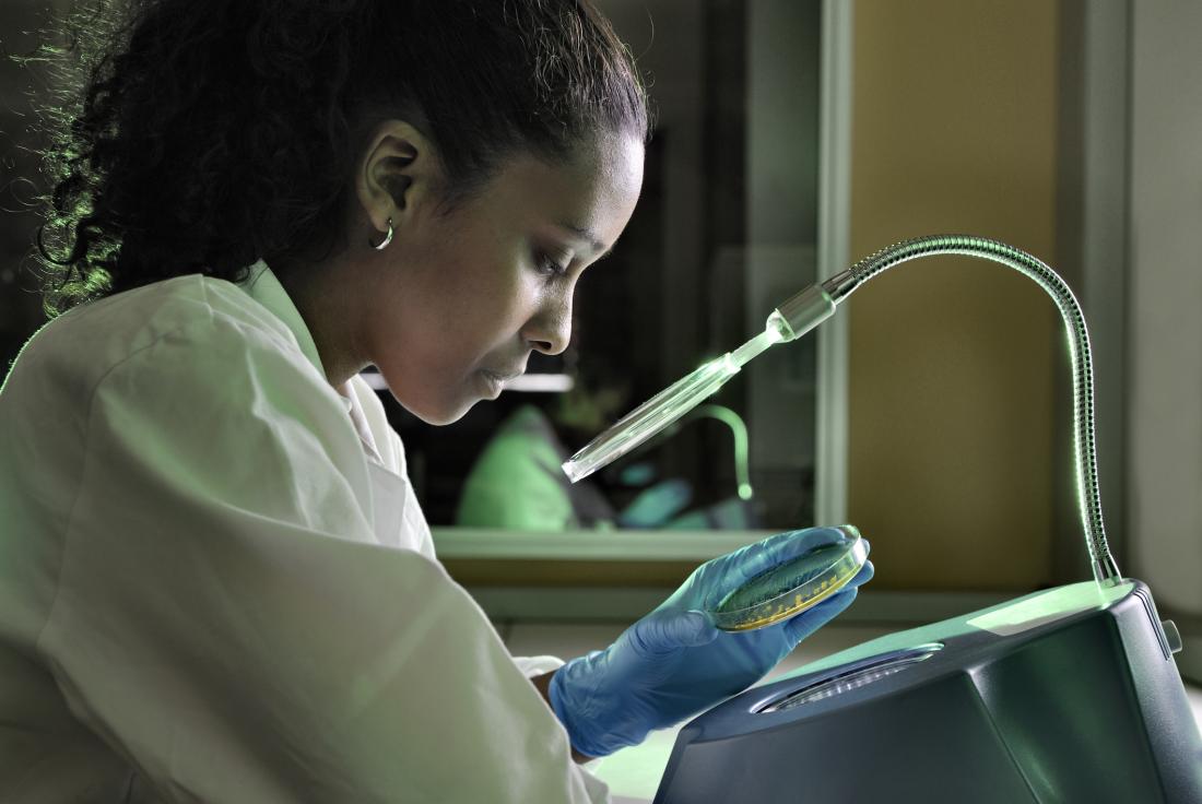 researcher studying petri dish with bacterial culture