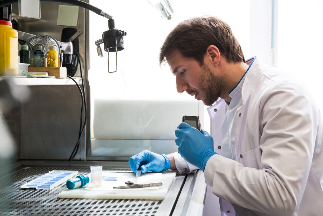 researcher studying viruses