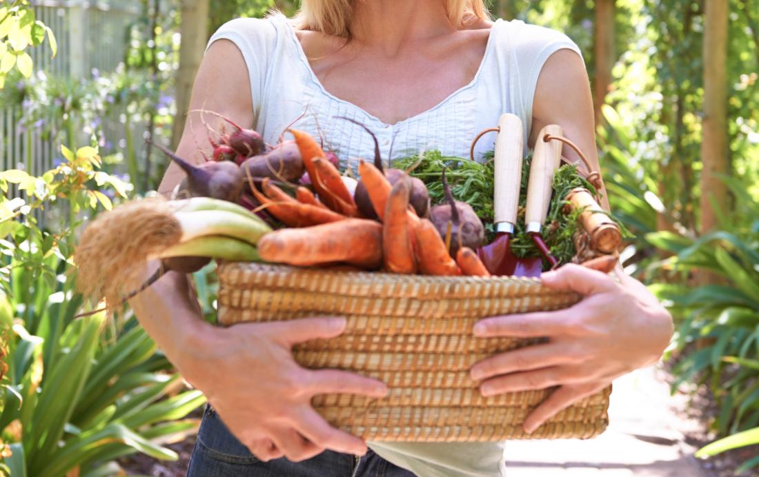 Vegano O Vegetariano Cuál Es Más Saludable 9277