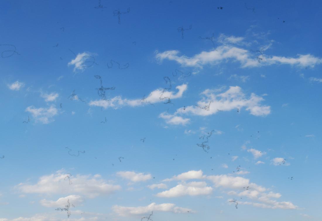 Eye Floaters What Causes Them And What Can You Do 