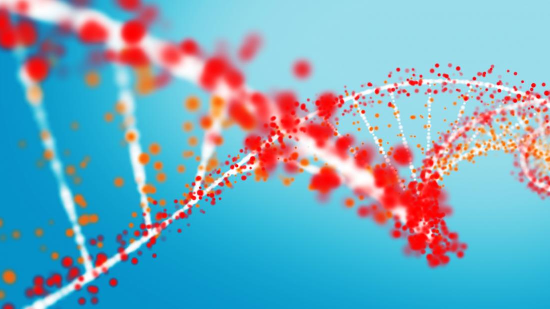 dna structure illustration