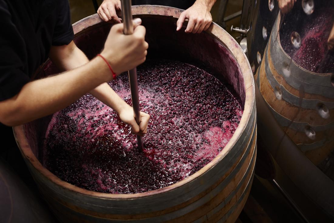 Making red wine