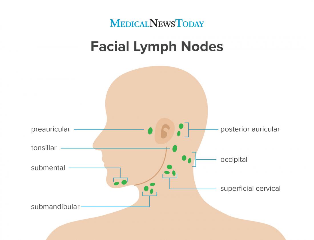 swollen lymph nodes in back of neck