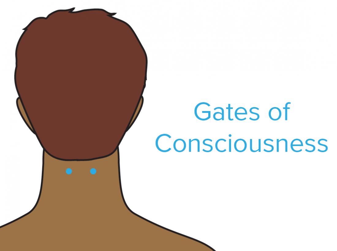 https://cdn-prod.medicalnewstoday.com/content/images/articles/326/326121/a-diagram-showing-the-gates-of-gates-of-consciousness-pressure-point.jpg