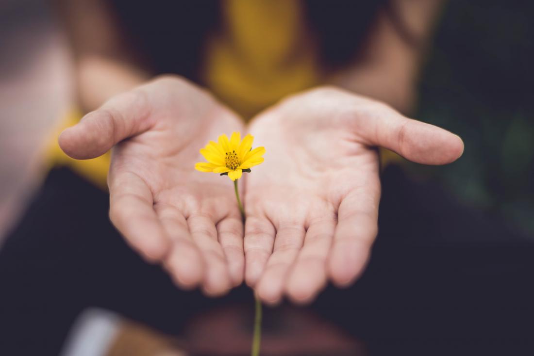 someone offering a yellow flower