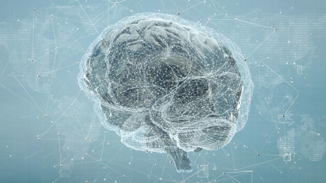 brain illustration