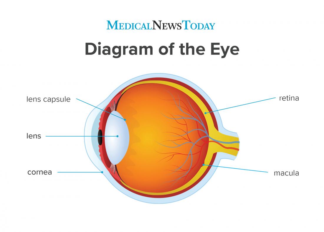 eye cataract without