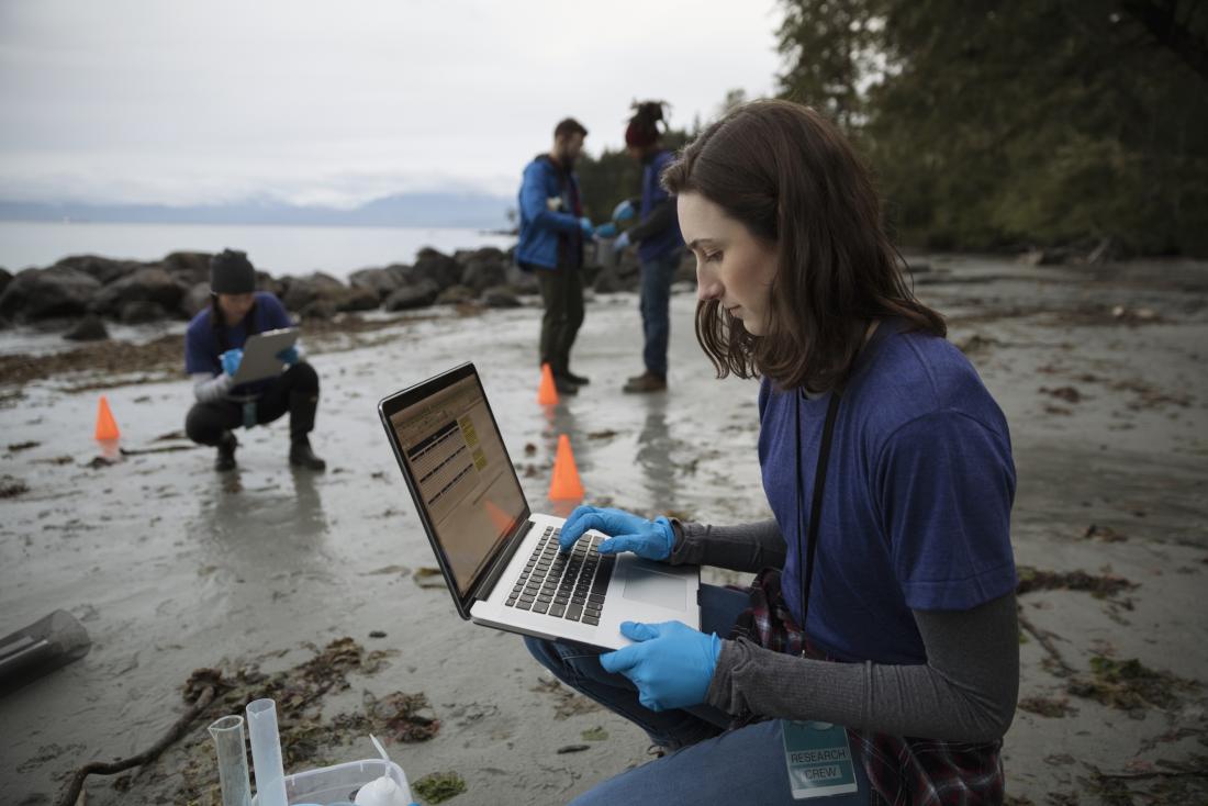 researchers taking samples from an estuary