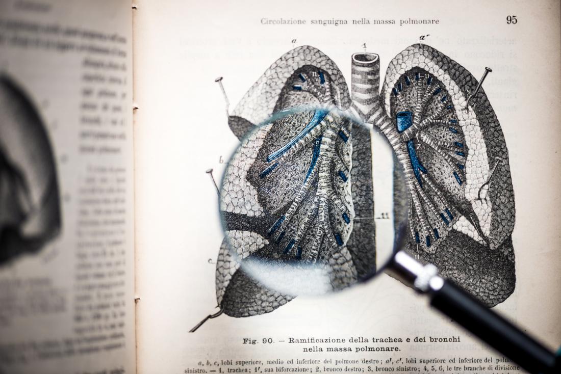 illustration of lungs