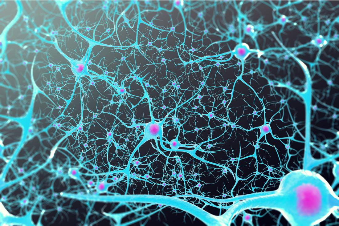 brain neuron connections