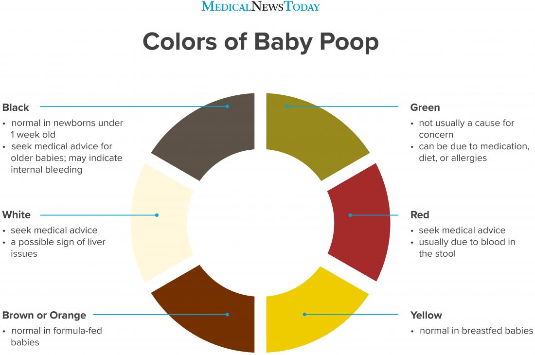 uma roda de cor infográfica mostrando as cores do cocó do bebé