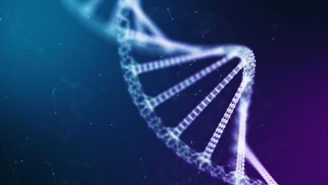 dna strand