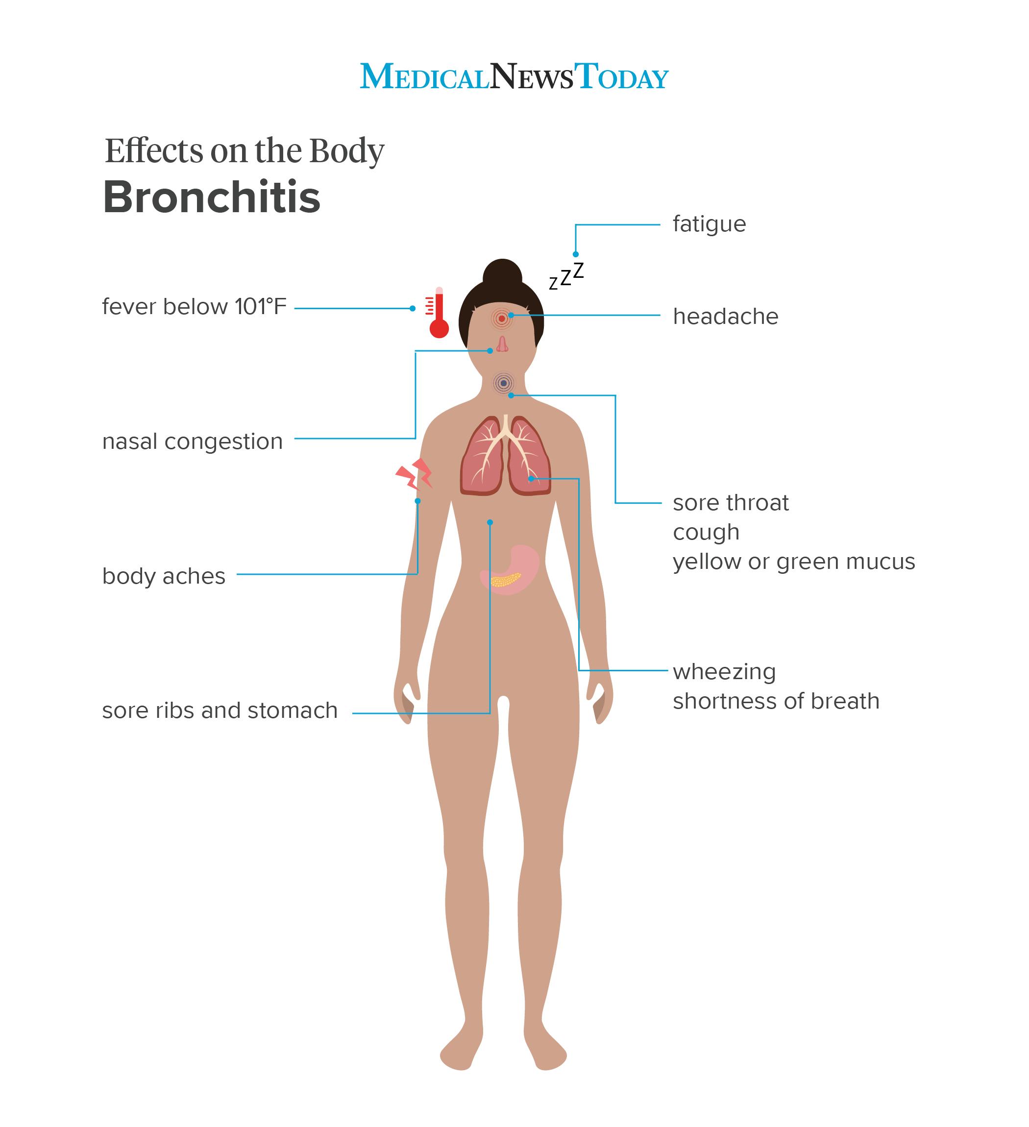 una infografía que muestra los efectos de la bronquitis en el cuerpo 