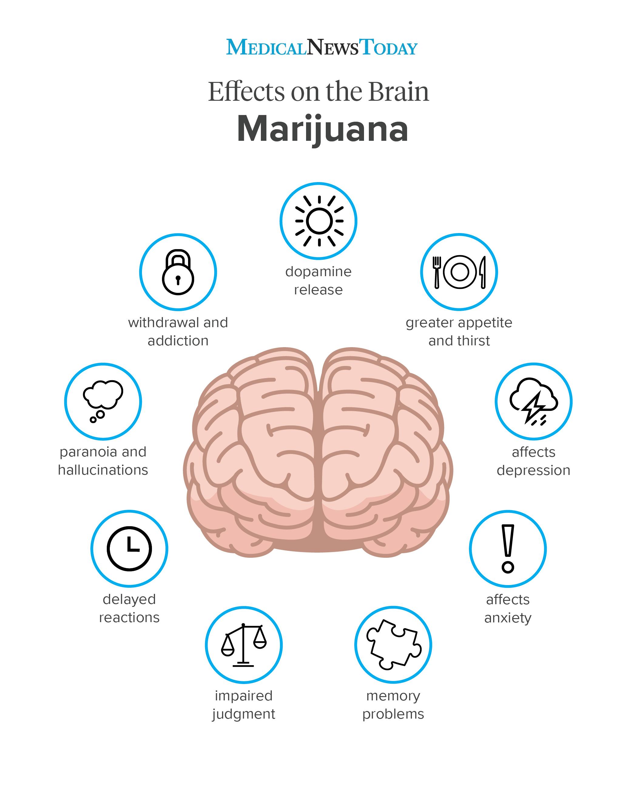 an infographic of a marijuana effects on the brain