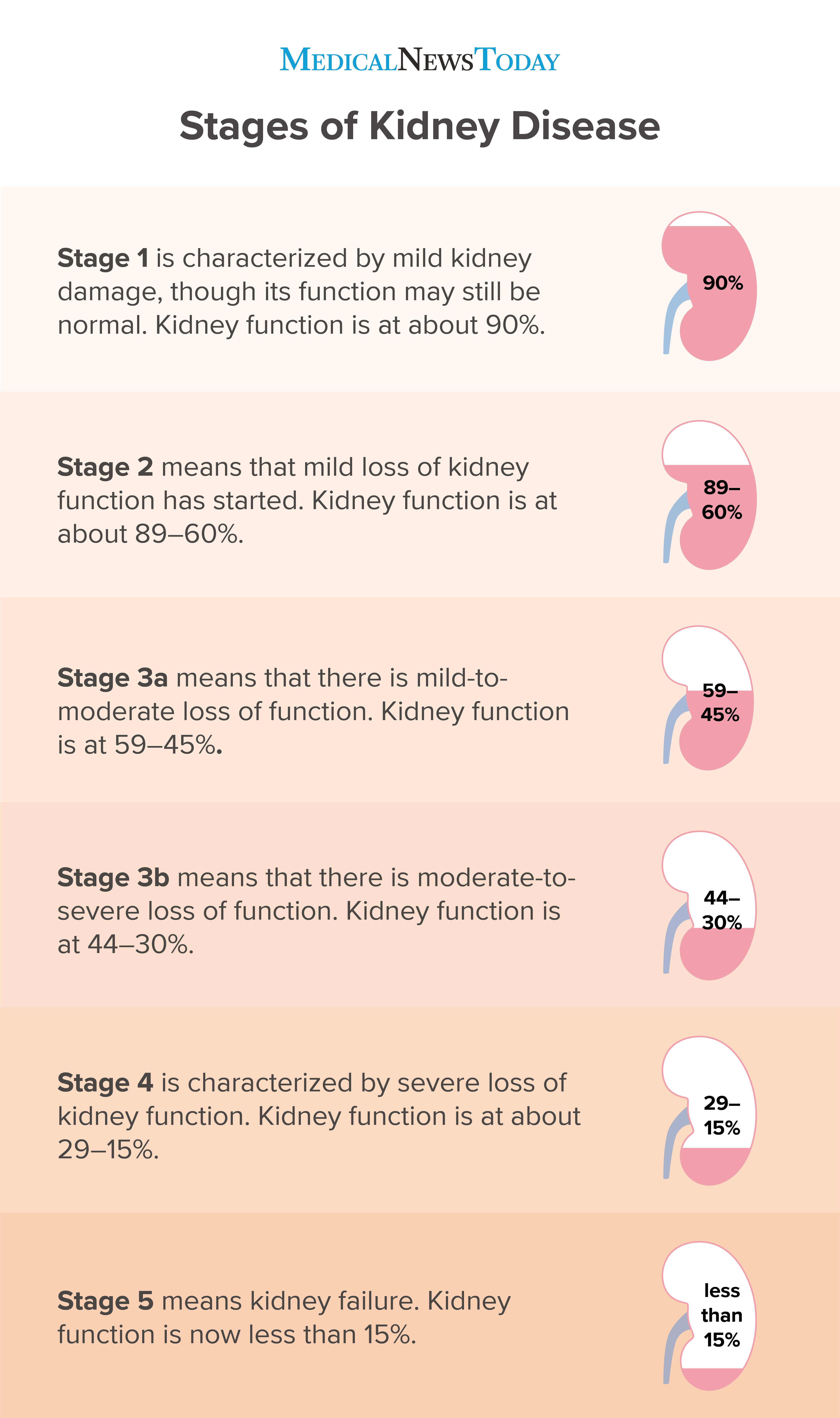 a infographic showing the stages of kidney disease 
