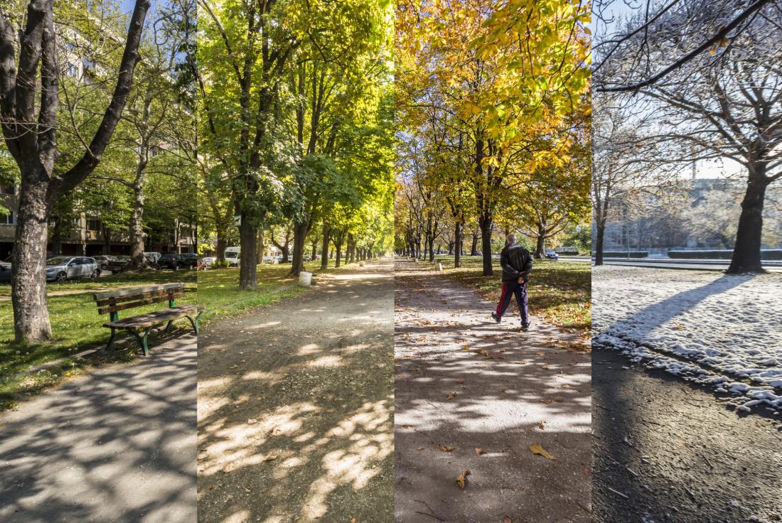 Four seasons in one park