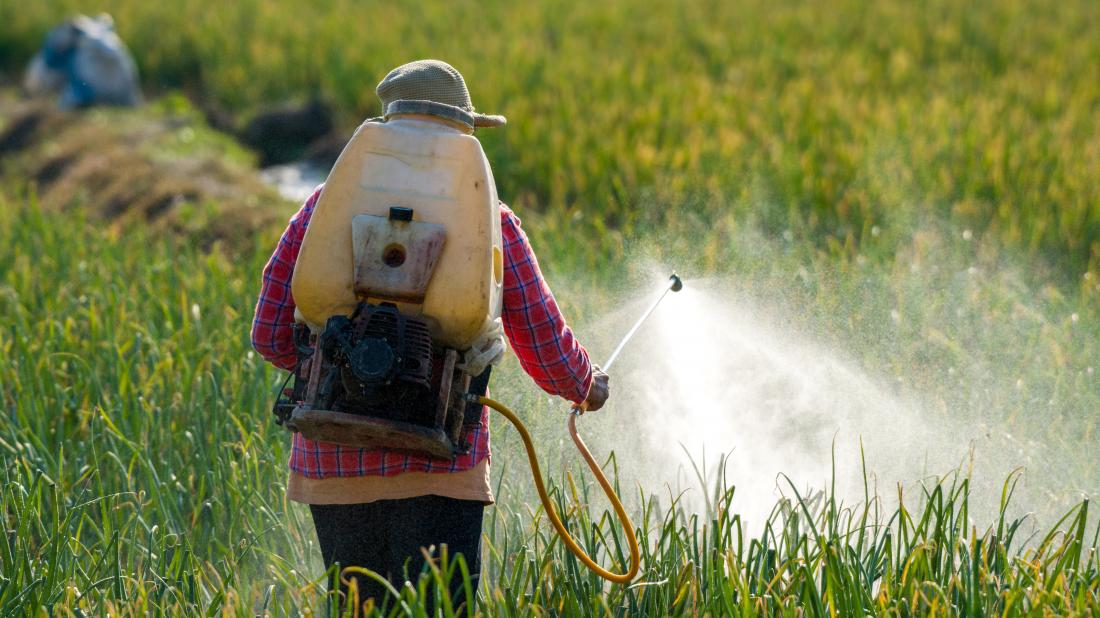 pesticides exposure spraying yield