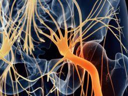 Sciatica: Causes, treatment, exercises, and symptoms diagram of lower leg pain 