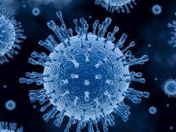 is covid an rna virus