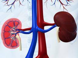 Glomerulonephritis: Symptoms, causes, scarring, and diagnosis