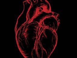 Idle Heart Rate Chart