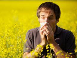 Singulair How It Works Uses And Side Effects   Seasonal Allergy 