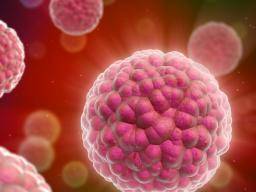 Cannabis reduces tumor growth in study