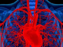 Hard, not soft, plaque buildup may predict risk of heart attack