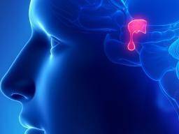 Hypophysectomy: Procedure, recovery, and complications