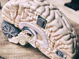 Childhood Trauma Leads To Brains Wired >> How Childhood Trauma Affects The Brain Childhood Trauma Leads To Brains Wired >> How Childhood Trauma Affects The Brain