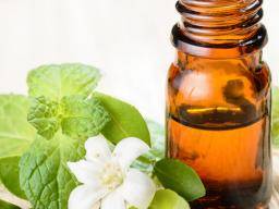 Image result for tea tree oil headache