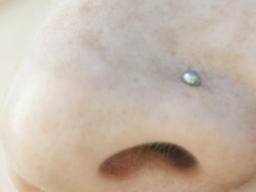 Piercing Pimples And Bumps New Flower Studio Body Piercing
