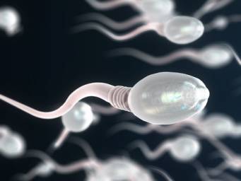 Poor sperm motility