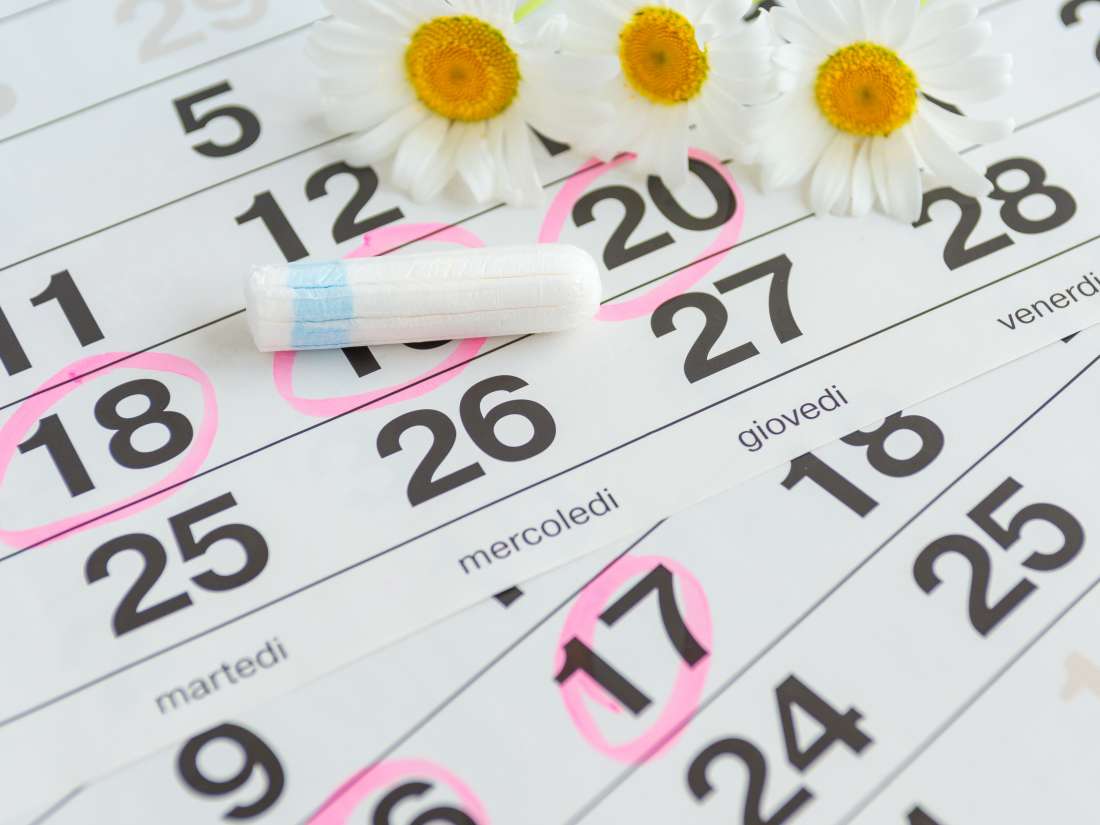 28 Days Menstrual Cycle Chart