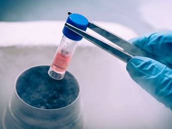 What are stem cells and why are they important?