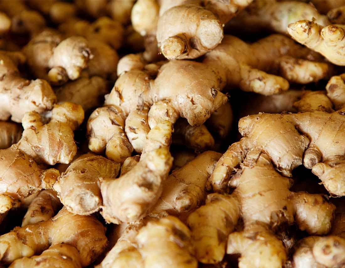 Is Ginger Shot Good For Ibs