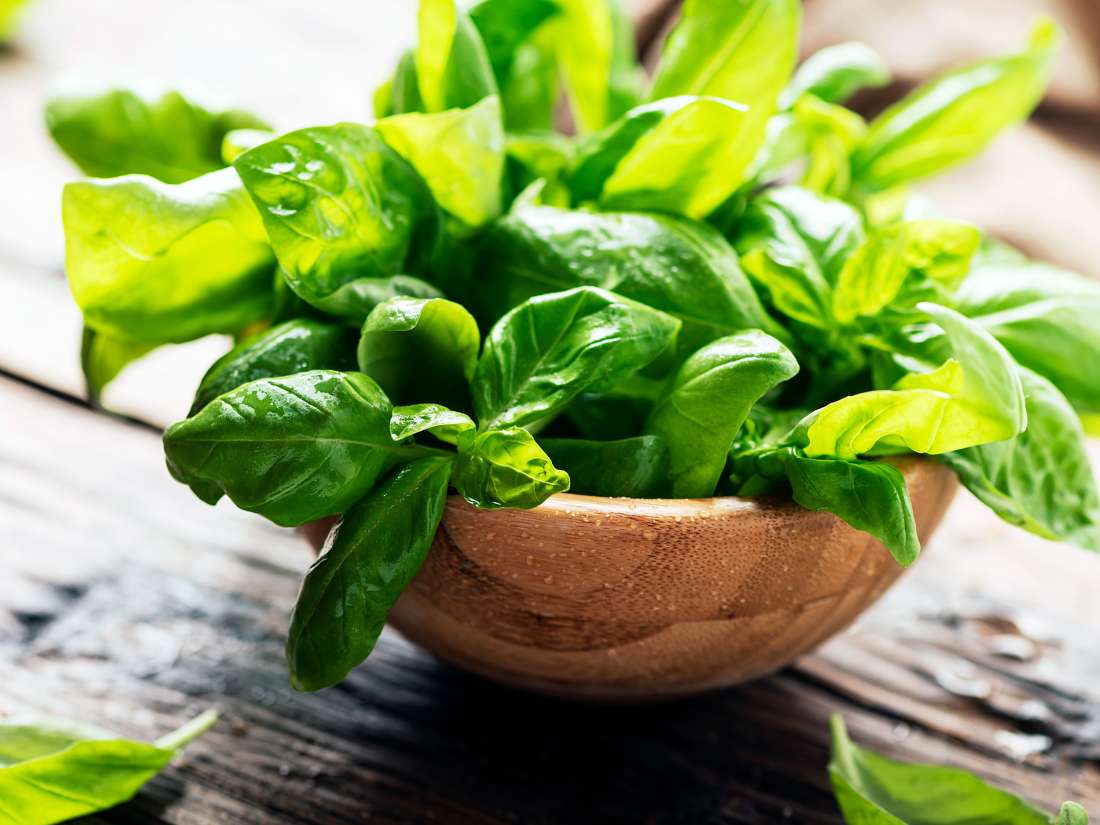 Basil Uses, benefits and nutrition