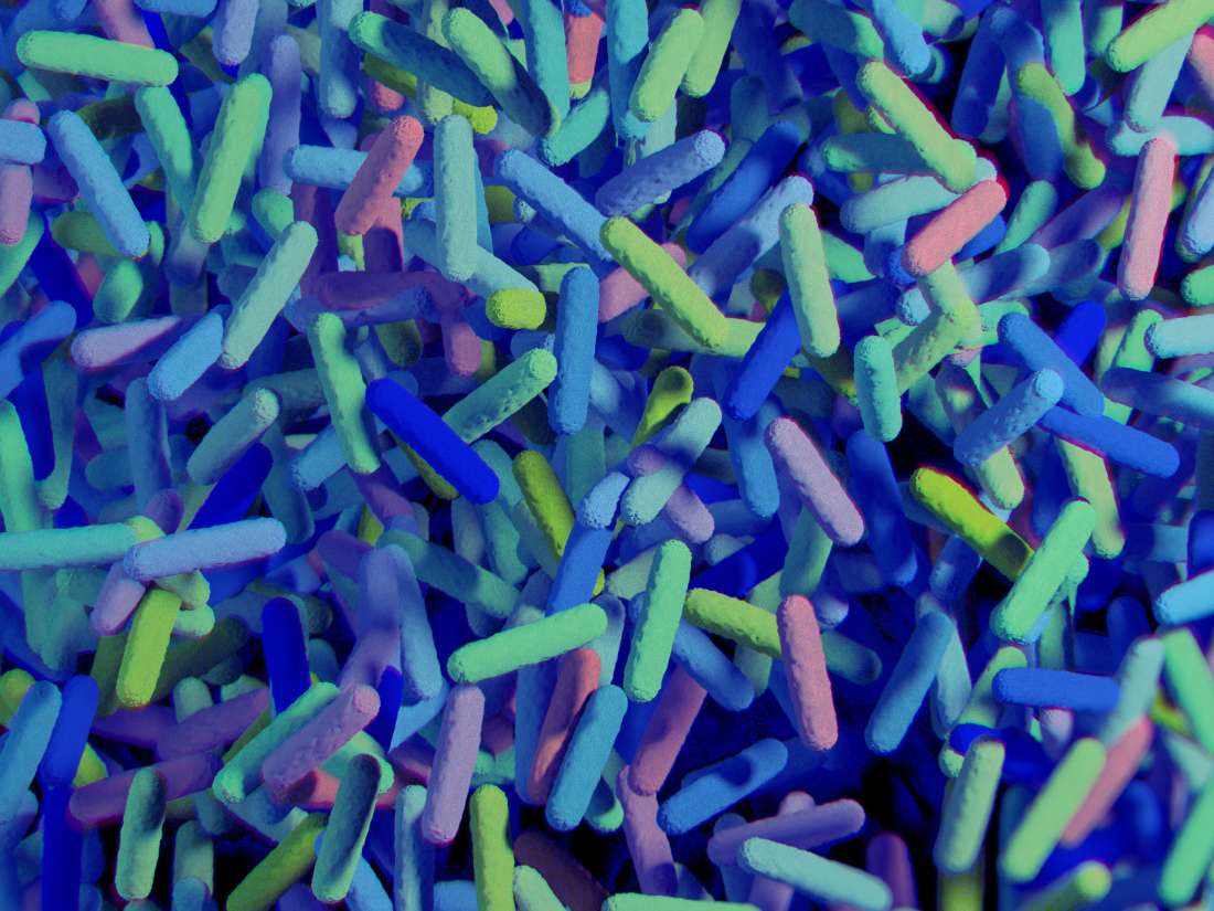 Gut microbiota: Definition, importance, and medical uses