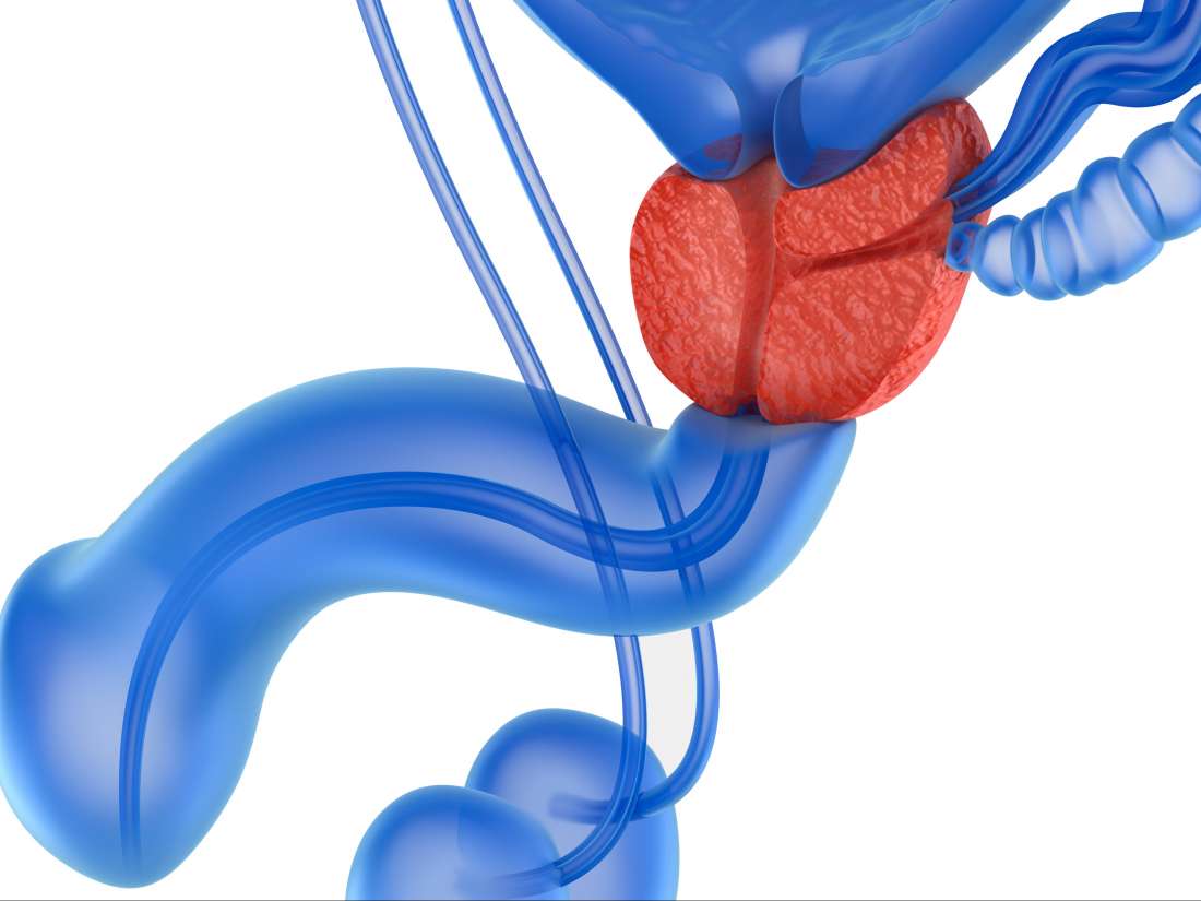 Prostate massage therapy: Definition, types, and risks