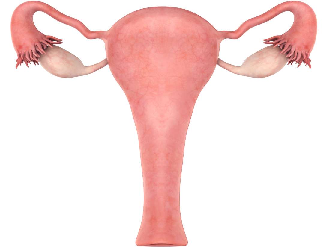 Enlarged Uterus Causes Symptoms And Treatment 