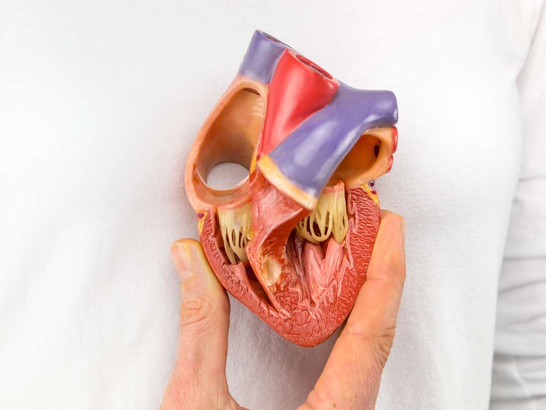 Dextrocardia: Causes, symptoms, and treatment