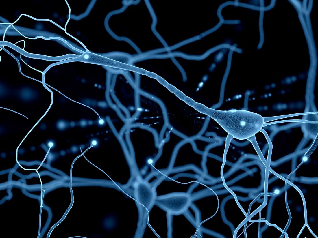 neurons make up what percent of the brain